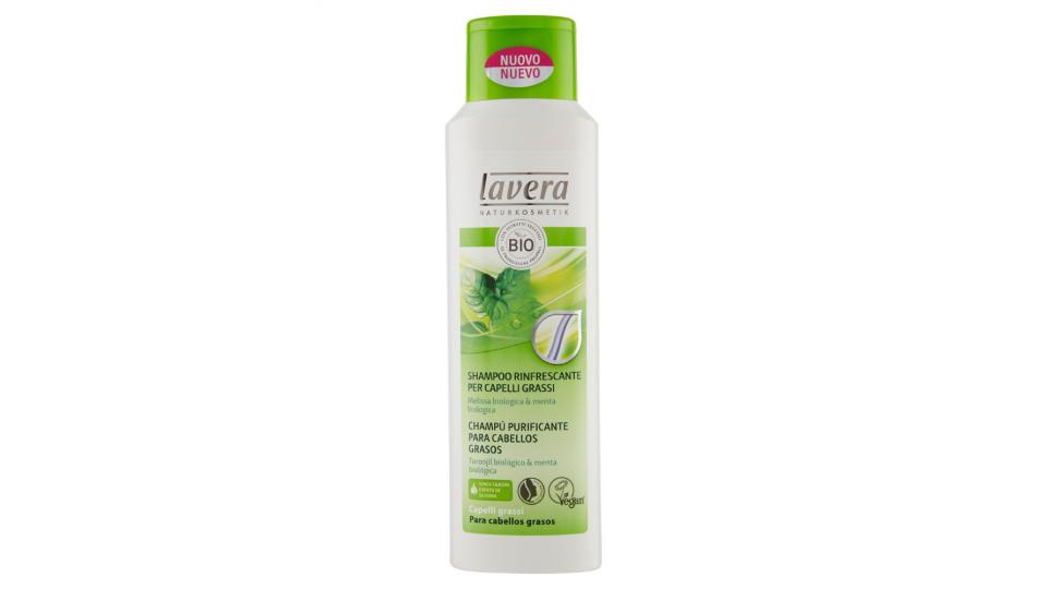 Lavera, rinfrescante per capelli grassi shampoo