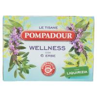Pompadour, Le Tisane Wellness 6 erbe 15 filtri