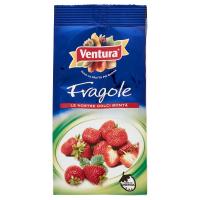 Ventura, fragole