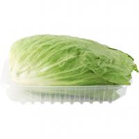 Insalata Cicoria, confezionata 