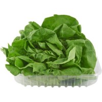 Insalata Lattuga, confezionata 