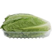Insalata Romana, confezionata 
