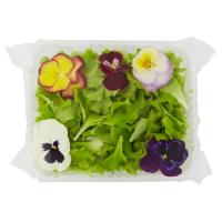 Lattughino biondo e fiori edibili, confezionati