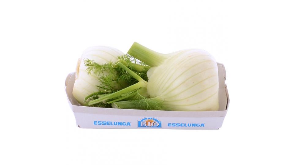 Esselunga Bio, finocchi biologici 