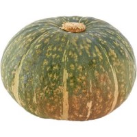 Zucca Delica, confezionata 