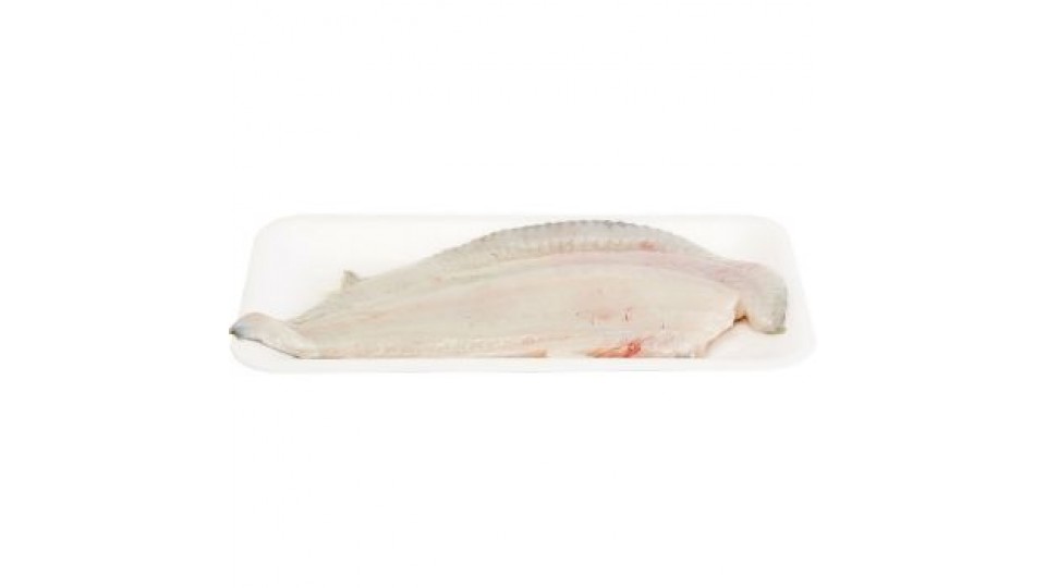 Esselunga Filetto Di Rombo Chiodato Carne E Pesce Prezzo
