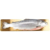 Esselunga Salmone intero eviscerato
