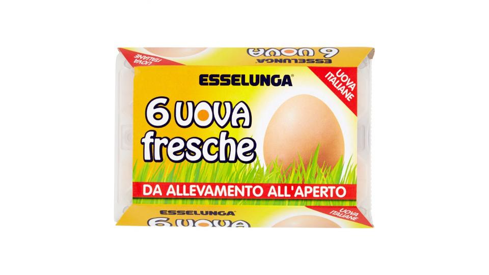 Esselunga Latte, burro, uova Spesa Online a casa confronta le offerte di spesa a domicilio