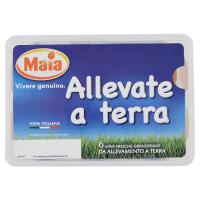 Maia, Allevate a terra