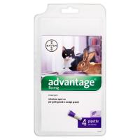 Advantage Prevenzione e trattamento delle pulci nei gatti pari e superiori a 4 kg, 4 pipette da