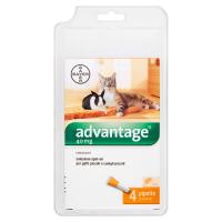 Advantage Soluzione spot-on per gatti piccoli e conigli piccoli, elimina pulci, 4 pipette da