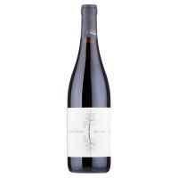 Lo Zoccolaio,  Barolo