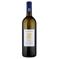 Vignamassima, Pinot Grigio Trentino DOC 