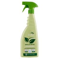 Icefor L'Ecologico Brilla Vetri
