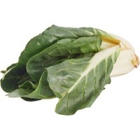 Esselunga Bio, coste biologiche 
