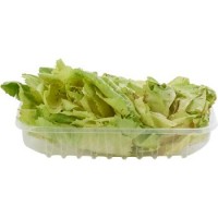 Radicchio variegat0, confezionato 