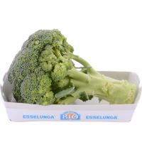 Esselunga Bio, broccoletti biologico 