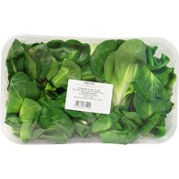 Cicorino verde, confezionato
