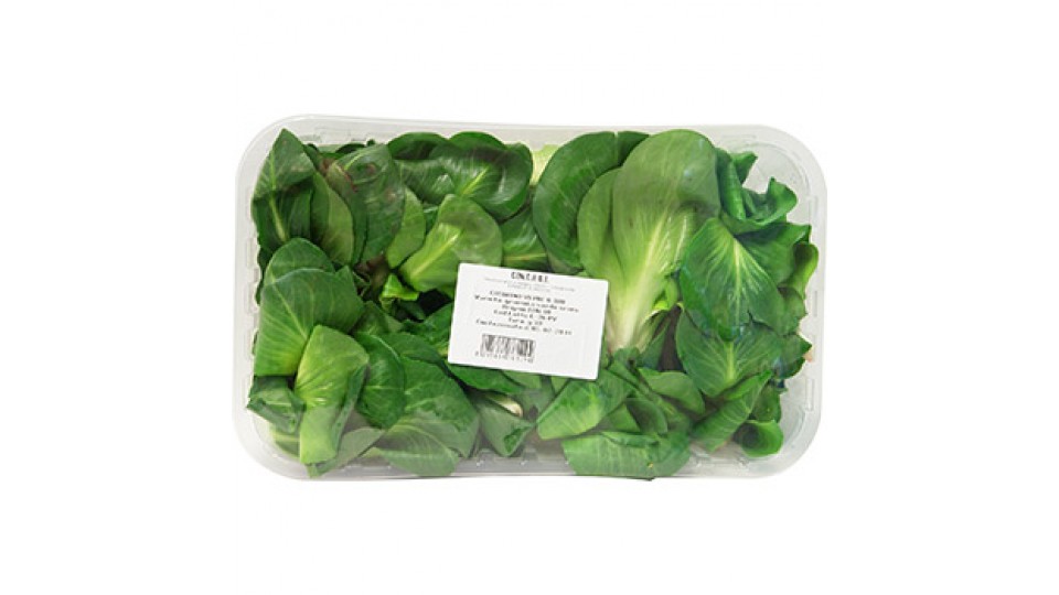 Cicorino verde, confezionato