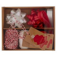 Kit composto da fiocchi, nastri e chiudipacco, colori assortiti