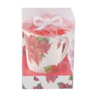 Infusiera con Stella di Natale