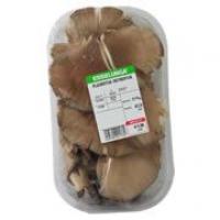 Pleurotus ostreatus, confezionati