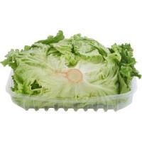 insalata  Gentile Lombarda