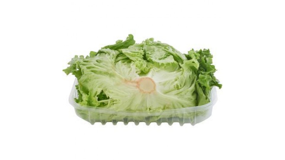 insalata  Gentile Lombarda