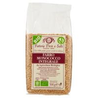Fattoria Pieve a Salti, farro monococco integrale biologico