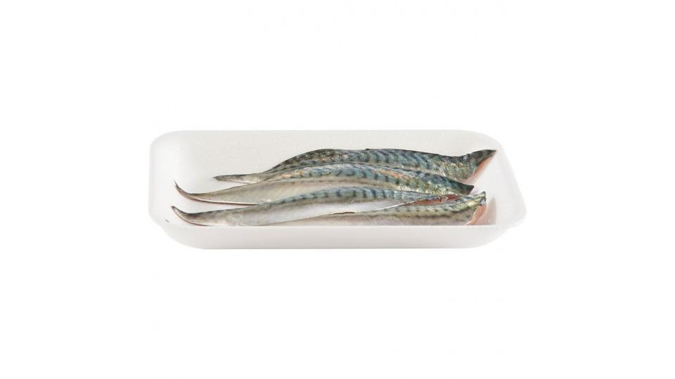 Esselunga Filetto Di Sgombro Carne E Pesce Miaspesait