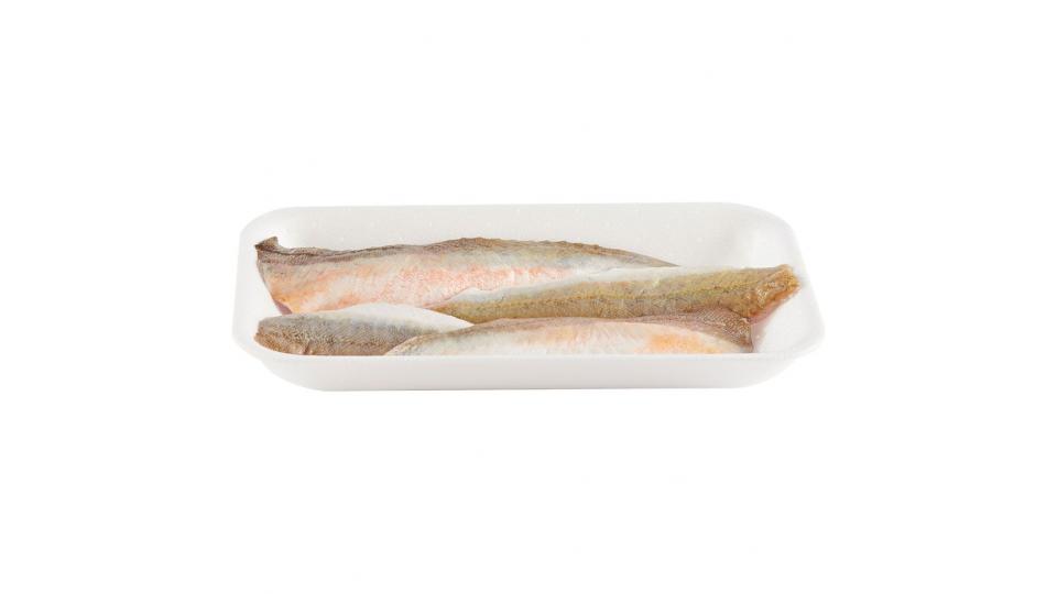 Esselunga filetto di gallinella