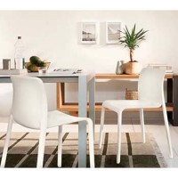 Coppia Sedie 5500 PUNTI +