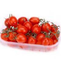 Pomodoro Pizzutello, confezionati 