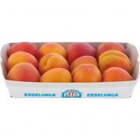 Esselunga Bio, albicocche biologiche 