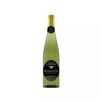 Pignoletto Frizzante DOC