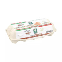Uova medie da galline allevate a terra