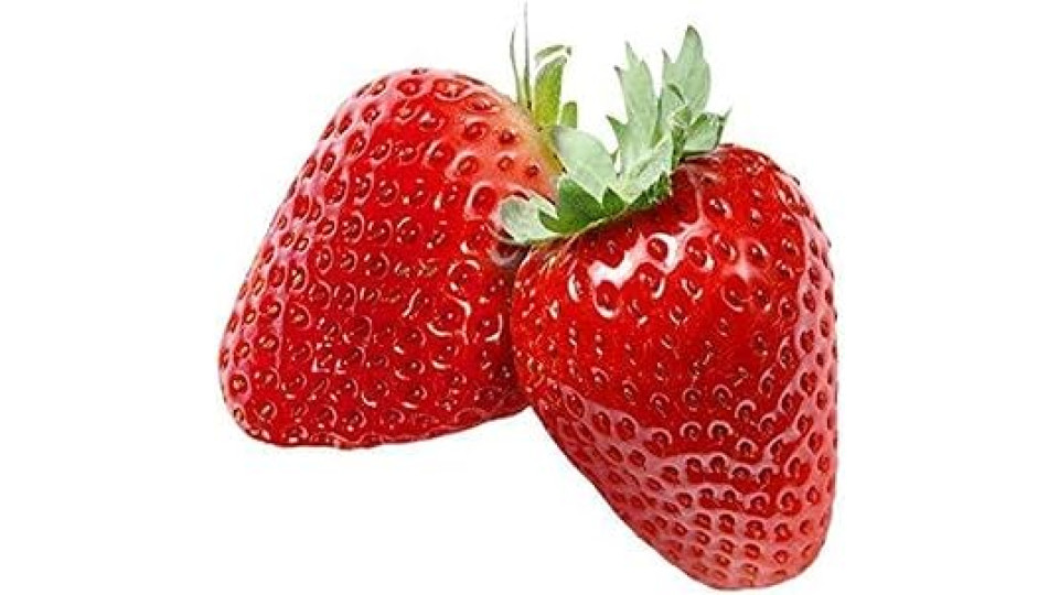 Fragole Bio