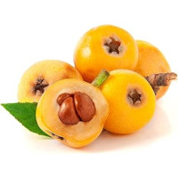 Nespole