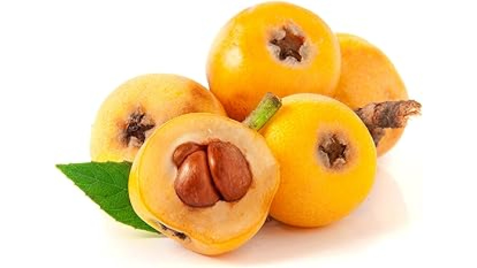 Nespole