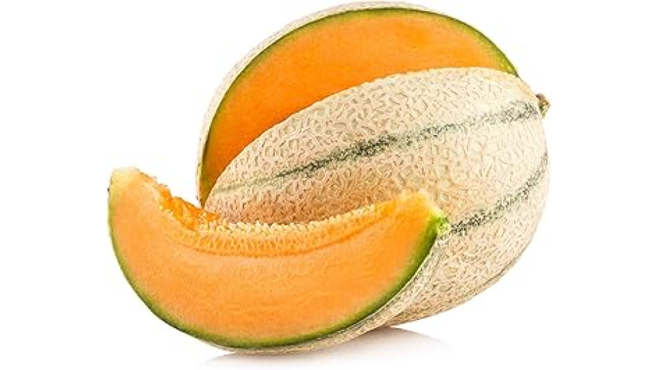 Melone retato