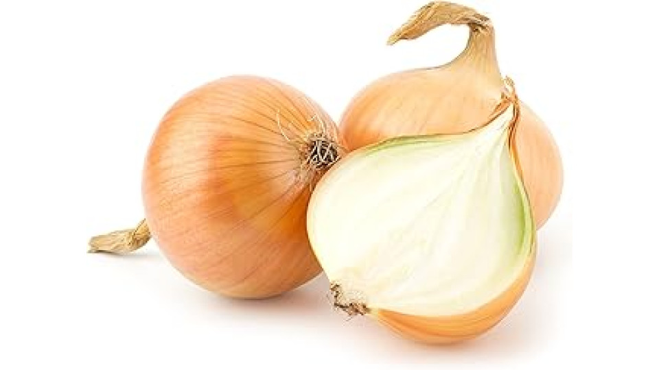 Cipolla Dorata