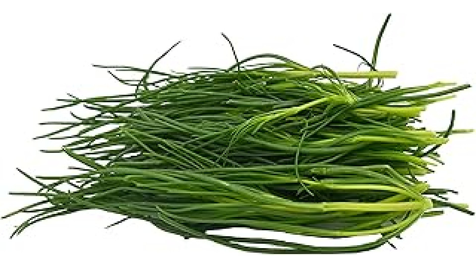 Lischi- Agretti