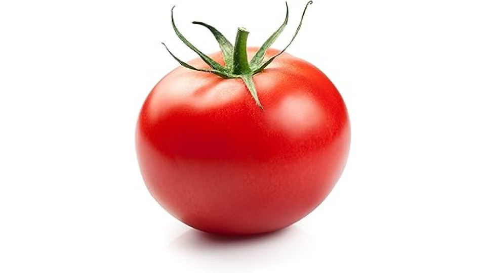 POMODORO TONDO INSALATARO