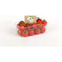 Pomodori Ciliegino Bio