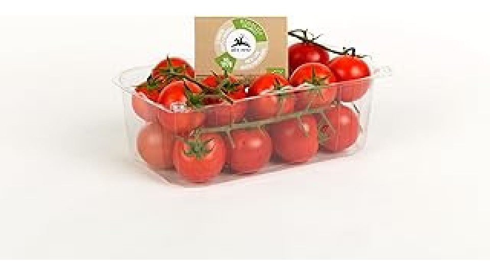 Pomodori Ciliegino Bio