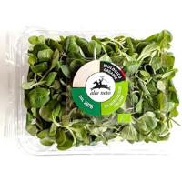 VALERIANELLA