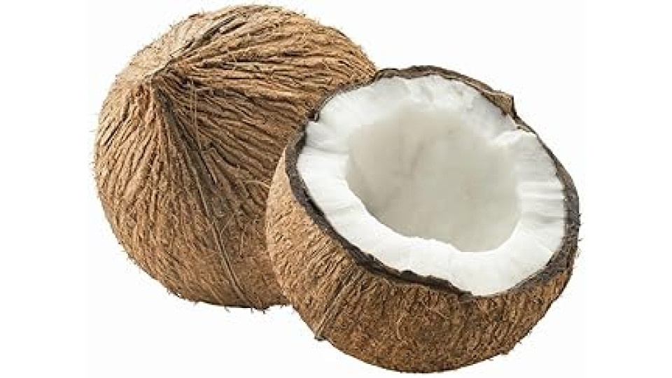 Noce di Cocco 