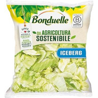 Bonduelle Iceberg Senza Residuo di Pesticidi 200g
