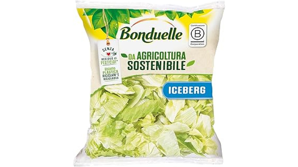 Bonduelle Iceberg Senza Residuo di Pesticidi 200g