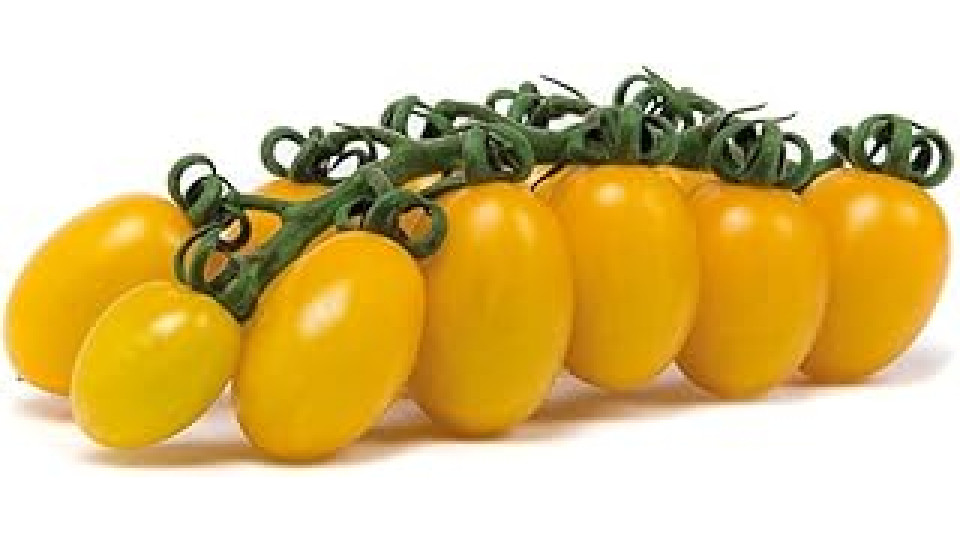 Pomodoro Datterino Giallo 250 gr